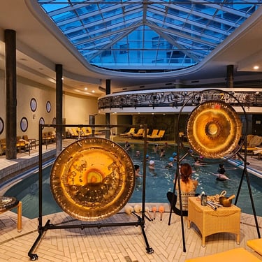 Hotel Bristol Buja